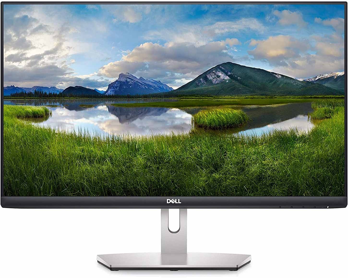 Dell S2421HN 24" Full HD (1920x1080) 75Hz 4ms IPS FreeSync Desktop Monitor