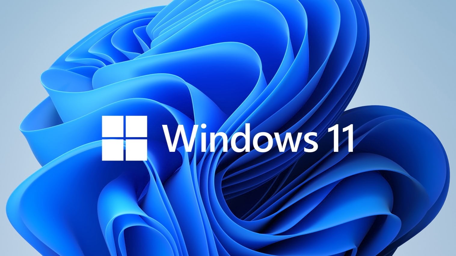 Microsoft Windows 11 Professional 64-bit Operating System - DSP Pack